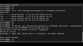 Create Oracle Wallet files on my database server