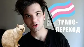 Что если завтра я захочу стать кошкой? // FtM-переход