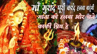 माँ मुरादे पूरी करदे हलवा बाटुंगी || Navratri special... जय माता दी