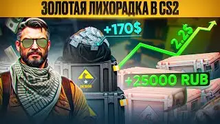 ЦЕНЫ РАСТУТ!  ФЕРМА НА 160 АККАУНТОВ / 2 РЕДЧАЙШИХ КЕЙСА / 10 ДНЕЙ ФАРМА!
