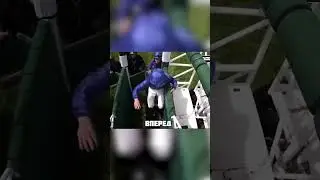 Это лошадь отомстила за своего хозяина 