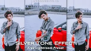 Gold silver moody preset - Lightroom mobile preset | silver tone editing | urban editz