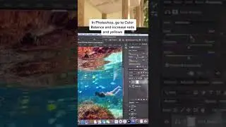 How To Edit An Underwater Photo | Color Balance Fix For Underwater Images 