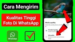 cara mengirim foto berkualitas tinggi di whatsapp
