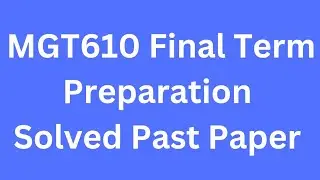 MGT610 Final term Preparation Solved Past Papers