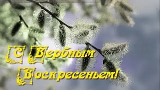 С ВЕРБНЫМ ВОСКРЕСЕНЬЕМ !