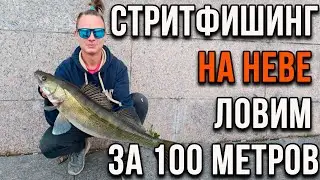 Стритфишинг на Неве, ловим за 100 метров.