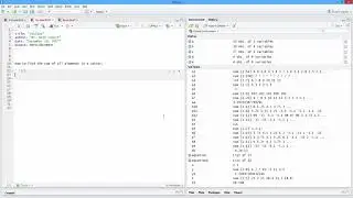 How to Find the Sum of All Elements in a Vector in R. [HD]