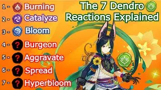 The 7 New Dendro Reactions Explained