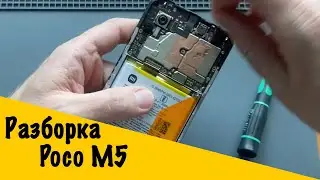 Обзор разборки Poco M5 и вид изнутри