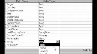 Microsoft Office Access 2000 Memo data type