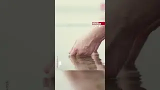 Приметы на начало весны 