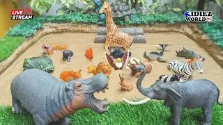 Big and Strong Wild Animals of Africa Stuck in Mud | Fun Learning for Kids | Kidiez World TV