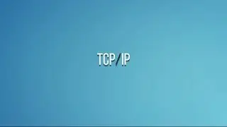 Winderton / Основы программирования. TCP/IP.