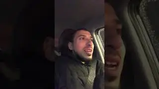 Отказал в поездке с котом