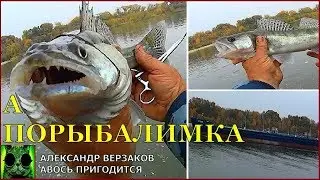 А порыбалимка. Три судака.