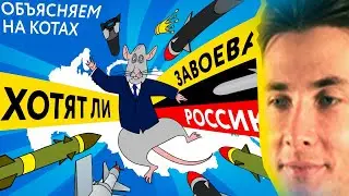 ХЕСУС: Хотят ли завоевать Россию: объясняю на котах | Коты Ходорковского