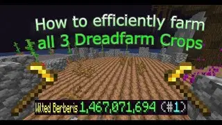 Most efficient way to farm all 3 Dreadfarm crops in Hypixel Skyblock Rift!