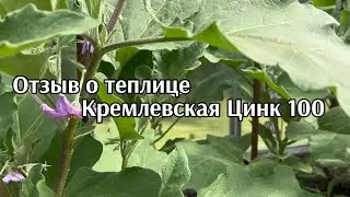 Отзыв о теплице Кремлёвская Цинк 100