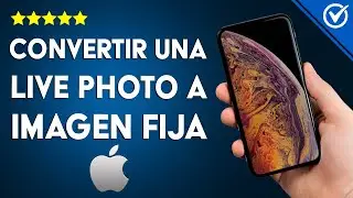 ¿Cómo convertir una LIVE PHOTO a imagen fija clave personalizada en IPHONE?