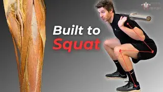 Why Some People Are Better Built for Squatting