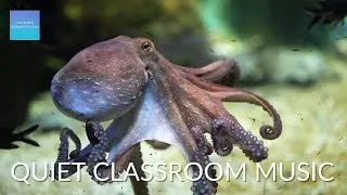 Quiet Classroom Music for Children 🐙 Octopus, Relaxing music for kids to study, calm classroom music