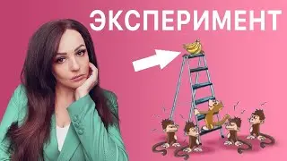 Как легко загнать человека в рамки