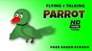 Green Screen Flying Parrot | talking animation | bird cartoon character | पोपट