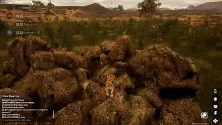 |ANIMALIA SURVIVAL| Создаем прайд львов.  Растем и размножаемся.  [RU]TAPKIN SURVIVAL (+Slots)
