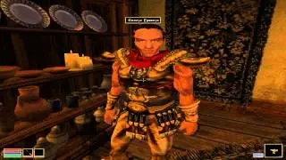 Morrowind проходим игру на русском часть первая
