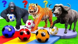 Animals soccer Foot Ball Game Selection Gift  With Gorilla, Zombie Elephant, Buffalo Tiger Wild Boar