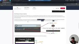 Command Injection | THM Series: Web Hacking Fundamentals #9