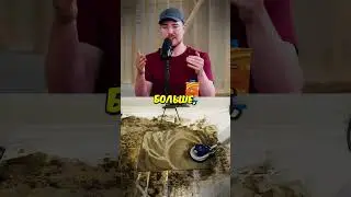 Мистер Бист уходит с Ютуба из-за Рекламы?  