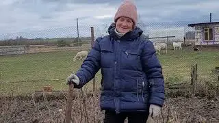 Песня под гармонь. Поёт Галина Дудзенко,,Змея,,