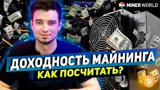 КАК РАССЧИТАТЬ ДОХОДНОСТЬ МАЙНЕРА и ЧТО НУЖНО ЗНАТЬ!