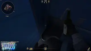 Counter Strike 2 Shenanigans