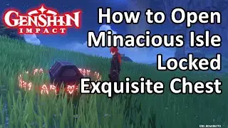 Minacious Isle Locked Exquisite Chest Puzzle Genshin Impact