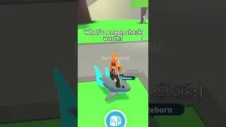 🦈 
