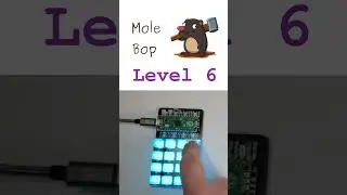 Mole Bop - Raspberry Pi Pico game