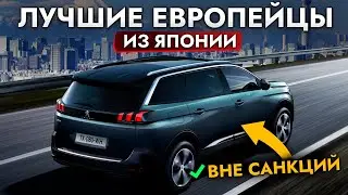 ЛУЧШИЕ ЕВРОПЕЙСКИЕ АВТО ВНЕ САНКЦИЙ❗️ Что купить из Японии в 2024