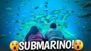 ENTRAMOS EM UM SUBMARINO COM UM SHOW DE PEIXES 😲