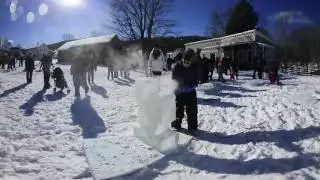 HANFORD MILLS MUSEUM ICE HARVEST 2017