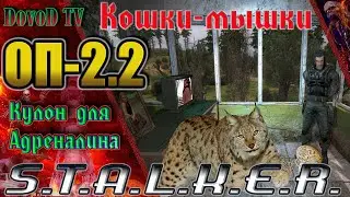 ОП-2.2 S.T.A.L.K.E.R. Как поймать Кота - Баюна. Кулон Адреналину (Кошки-мышки).