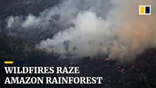 Wildfires raze Amazon rainforest