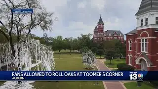 Auburn announces fans can roll two Auburn Oaks at Toomers Corner