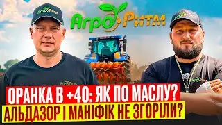 ОРАНКА В +40?АЛЬДАЗОР З МАНІФІК НЕ ЗГОРІЛИ? ФГ "РУБІН"