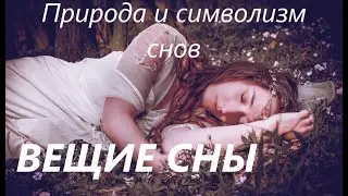 Вещие сны.  Как расшифровать вещий сон? Природа и символизм снов.