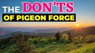 Pigeon Forge Don't DO'S - Your GUIDE To The PERFECT Vacation!