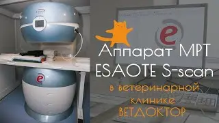 Аппарат МРТ S-scan (Esaote) в ветеринарной клинике ВЕТДОКТОР