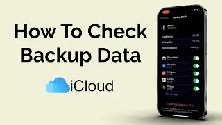 How To Check iCloud Backup Data?